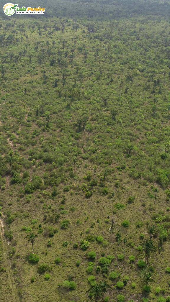 Fazenda à venda, 942m² - Foto 7