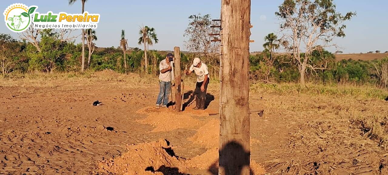 Fazenda à venda, 1000m² - Foto 11