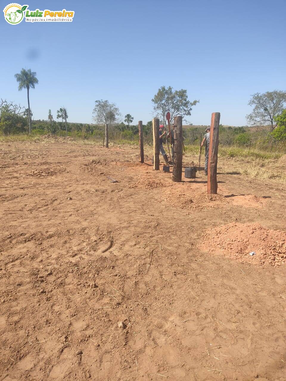 Fazenda à venda, 1000m² - Foto 8