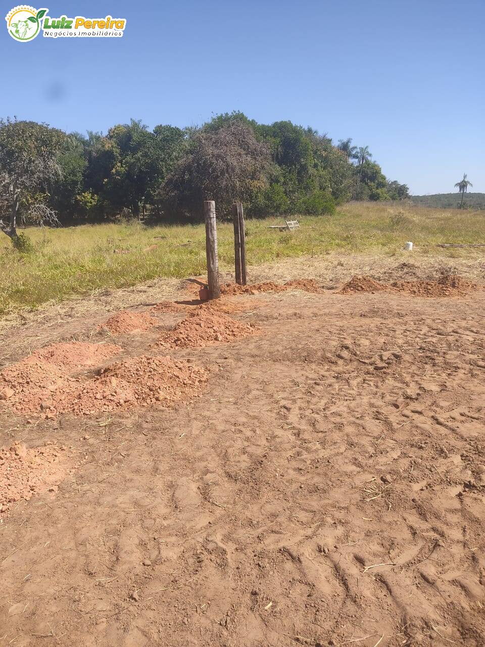 Fazenda à venda, 1000m² - Foto 9