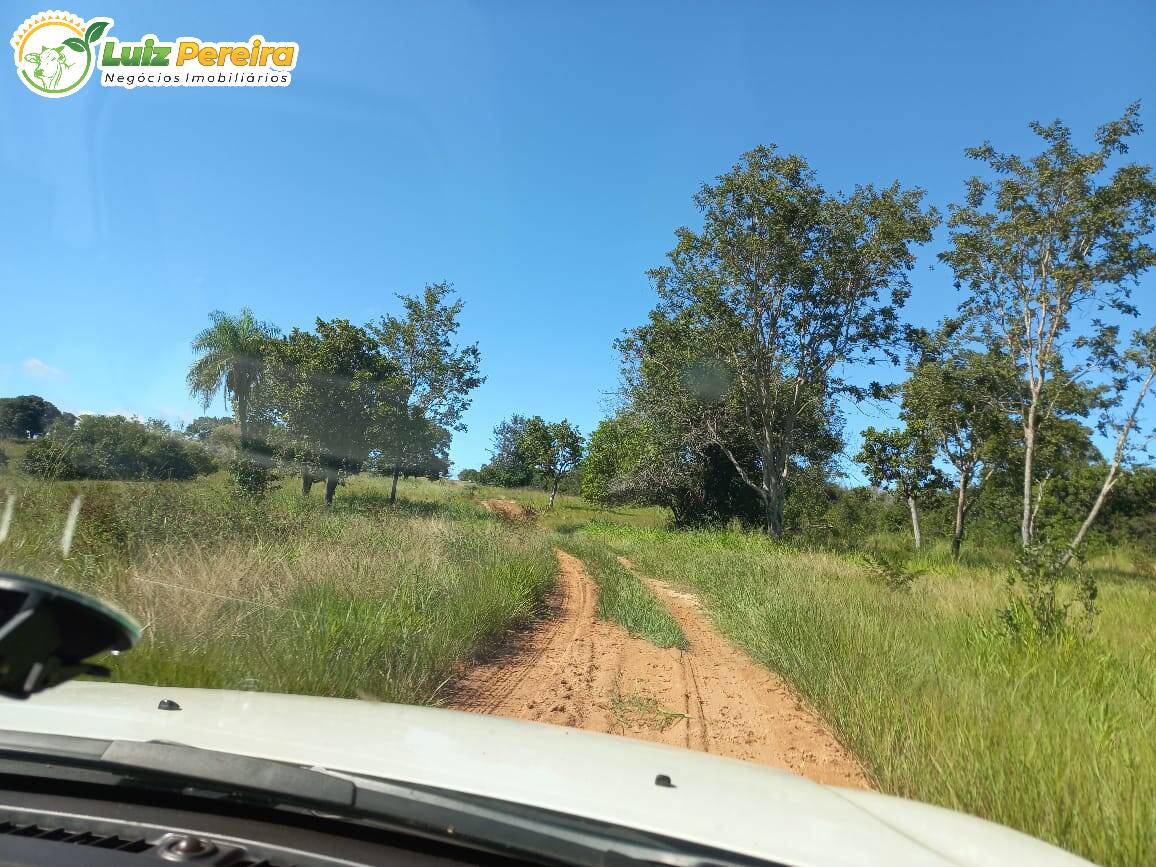 Fazenda à venda, 1000m² - Foto 7