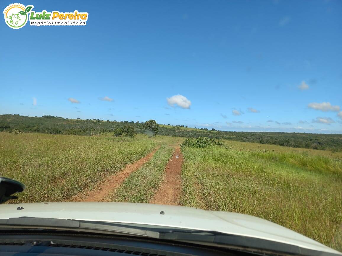 Fazenda à venda, 1000m² - Foto 5