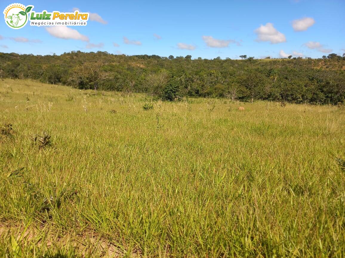 Fazenda à venda, 1000m² - Foto 4