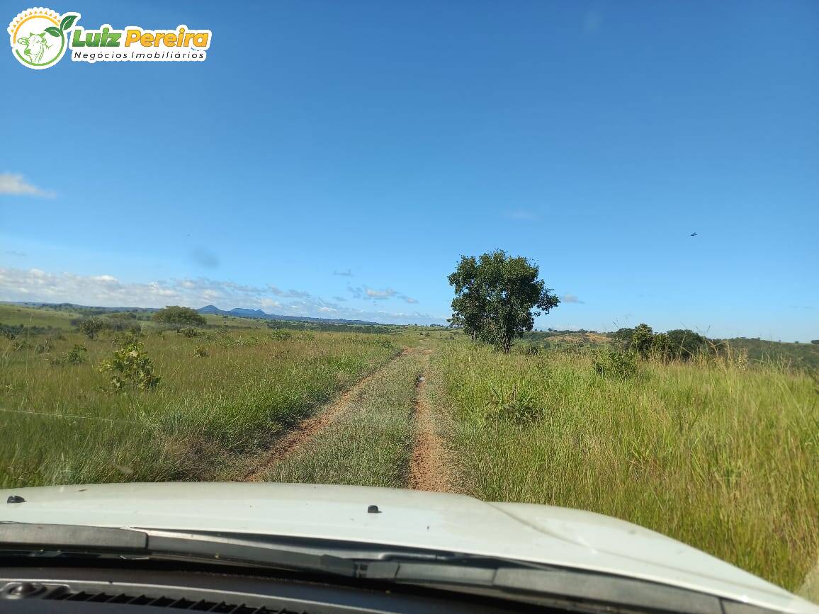 Fazenda à venda, 1000m² - Foto 6