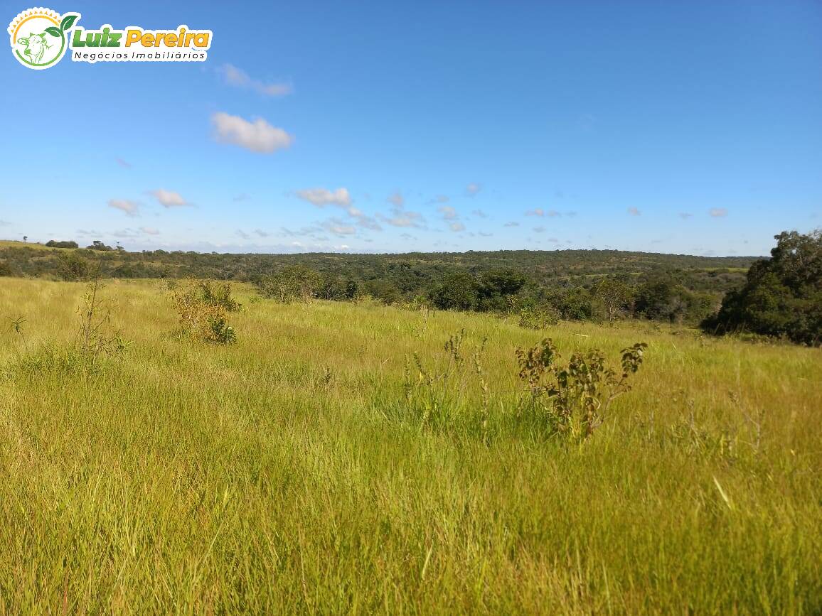 Fazenda à venda, 1000m² - Foto 1