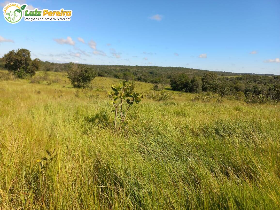 Fazenda à venda, 1000m² - Foto 3