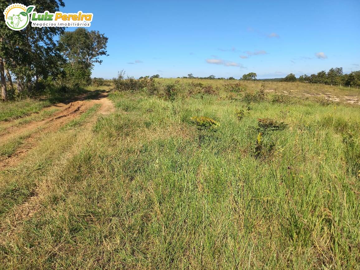 Fazenda à venda, 1000m² - Foto 2