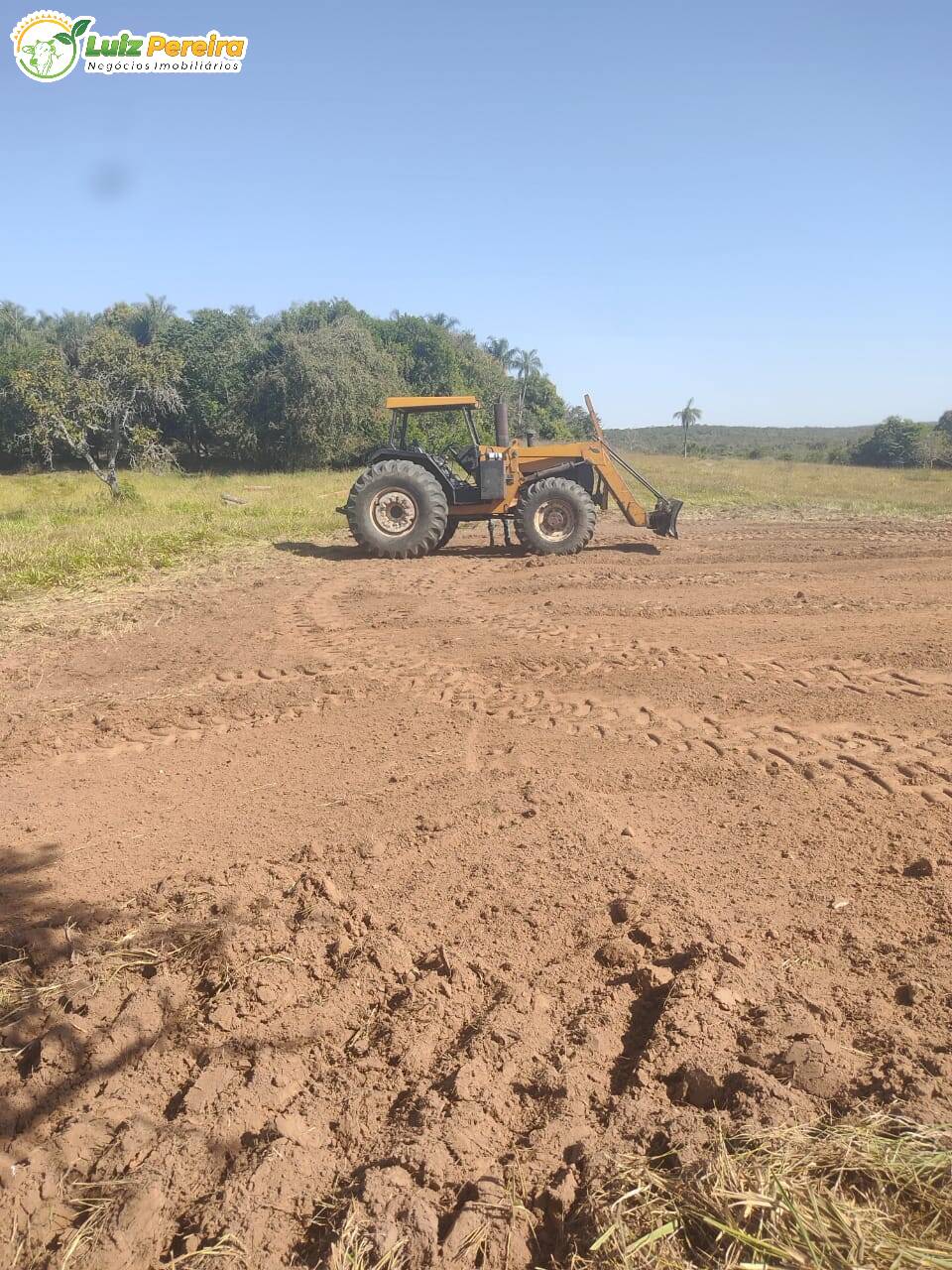 Fazenda à venda, 1000m² - Foto 15