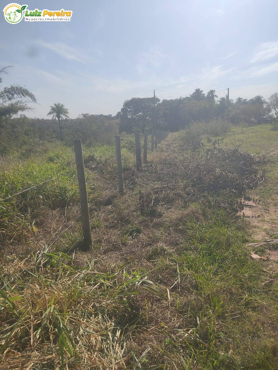 Fazenda à venda, 1000m² - Foto 17