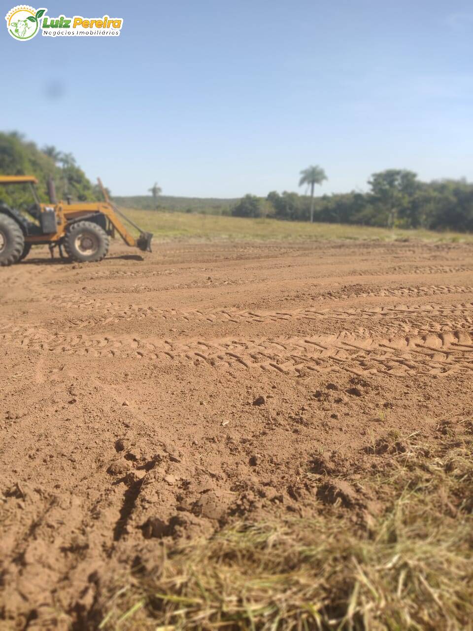 Fazenda à venda, 1000m² - Foto 14