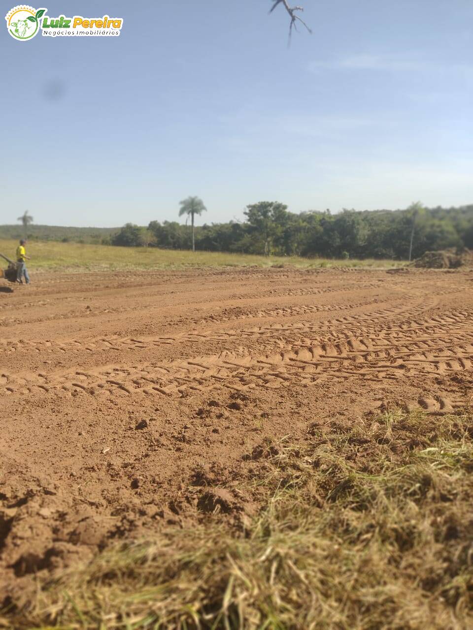 Fazenda à venda, 1000m² - Foto 16