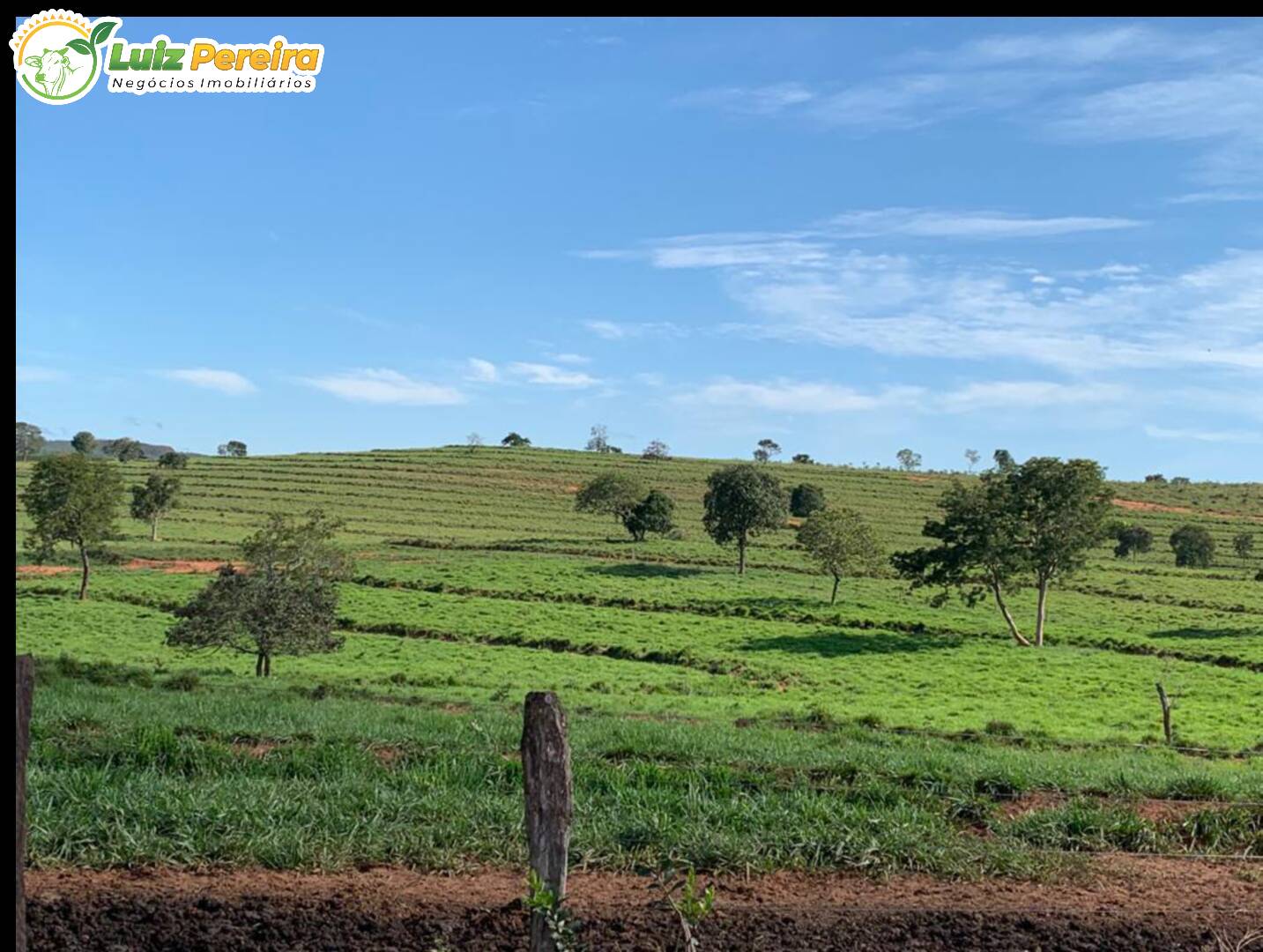 Fazenda à venda, 1482m² - Foto 6