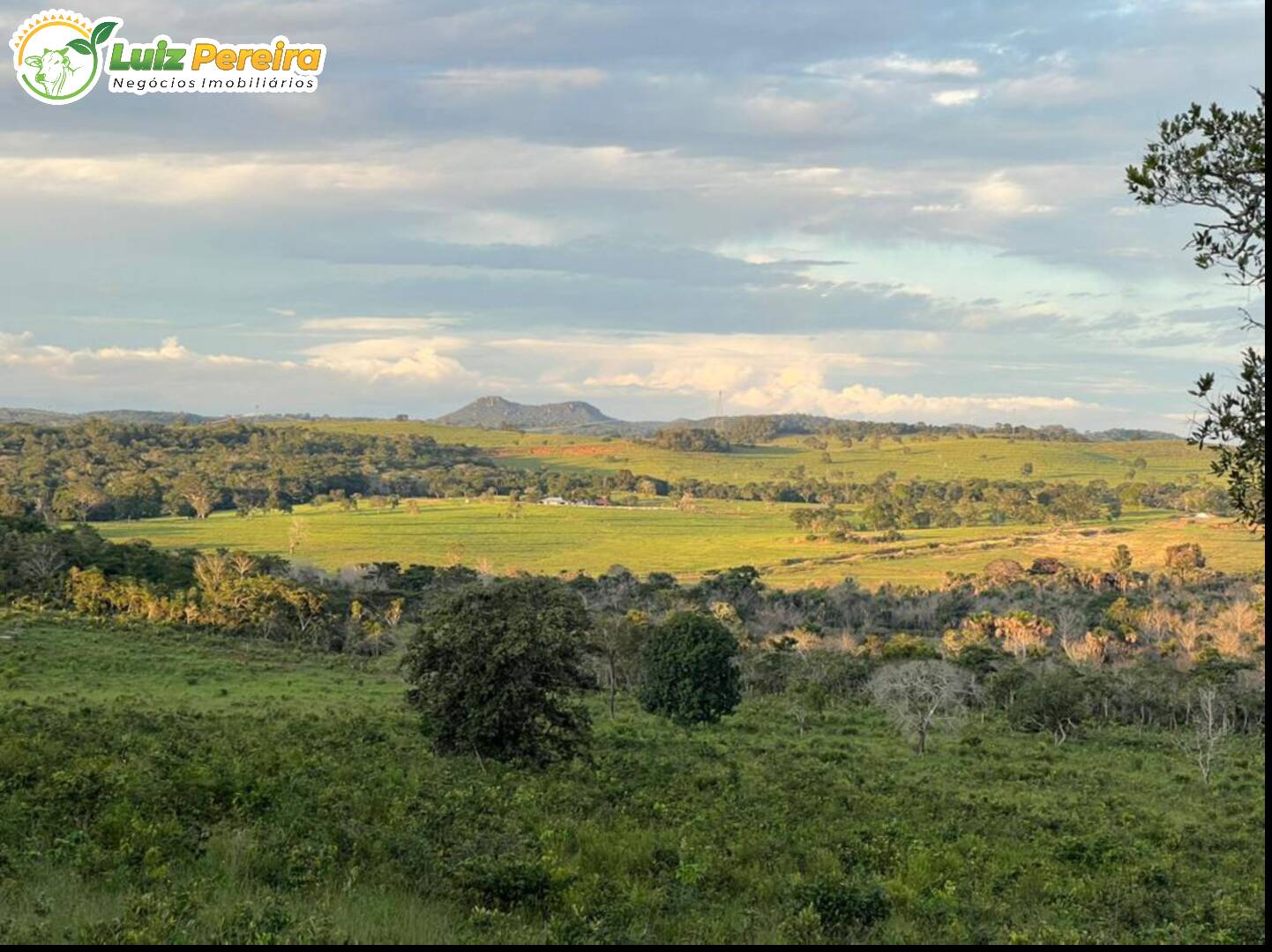 Fazenda à venda, 1482m² - Foto 10