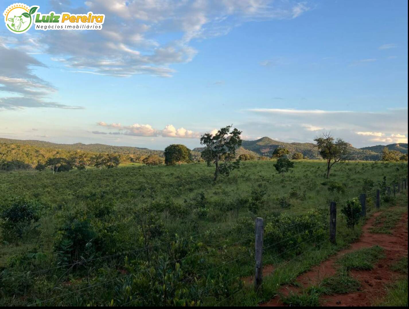 Fazenda à venda, 1482m² - Foto 13