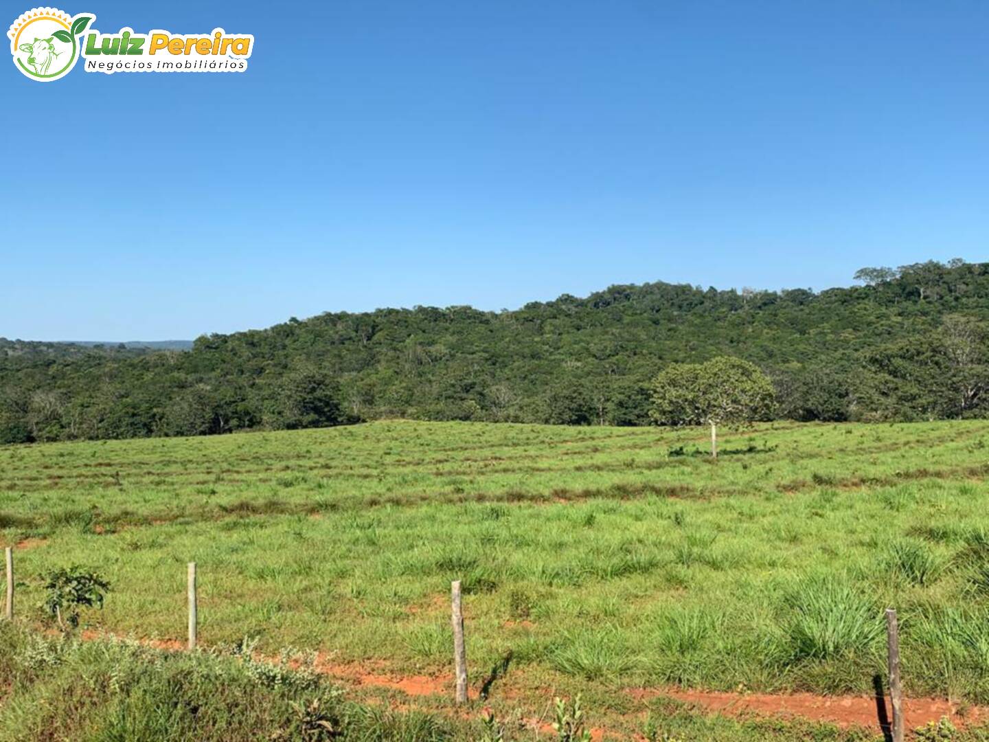 Fazenda à venda, 1482m² - Foto 17