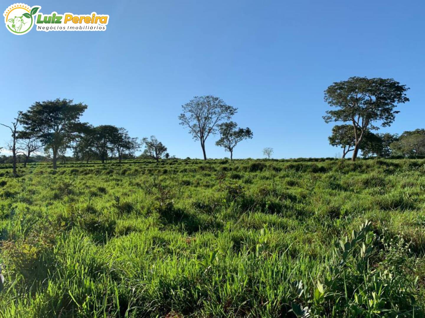 Fazenda à venda, 1482m² - Foto 18