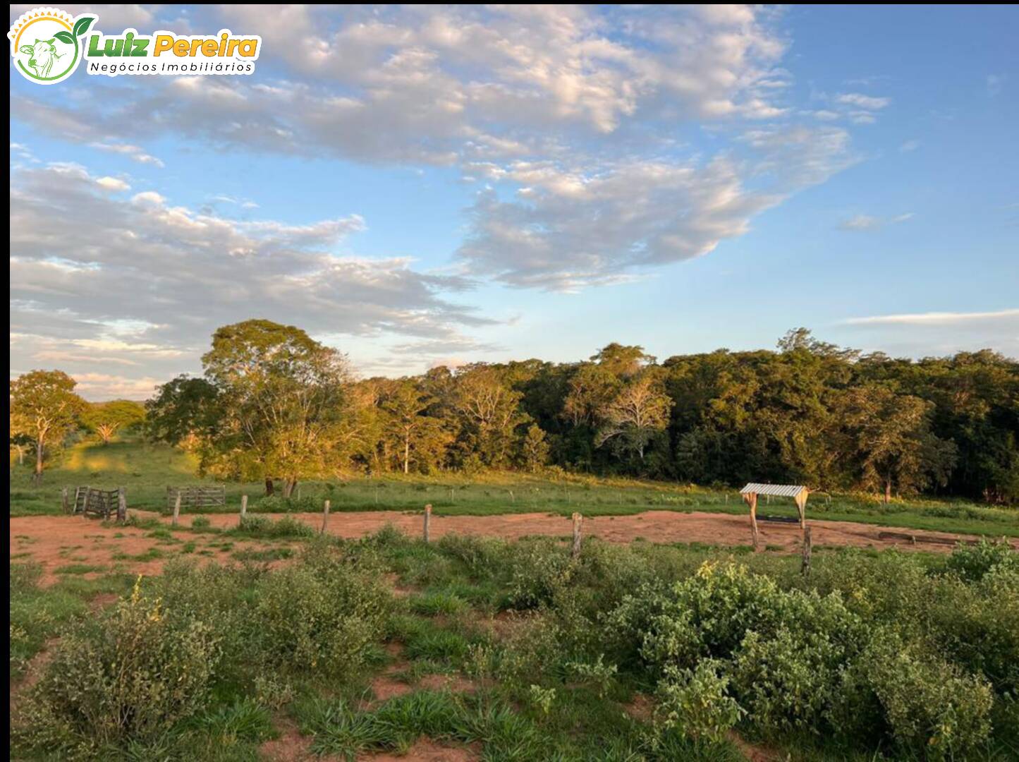 Fazenda à venda, 1482m² - Foto 31