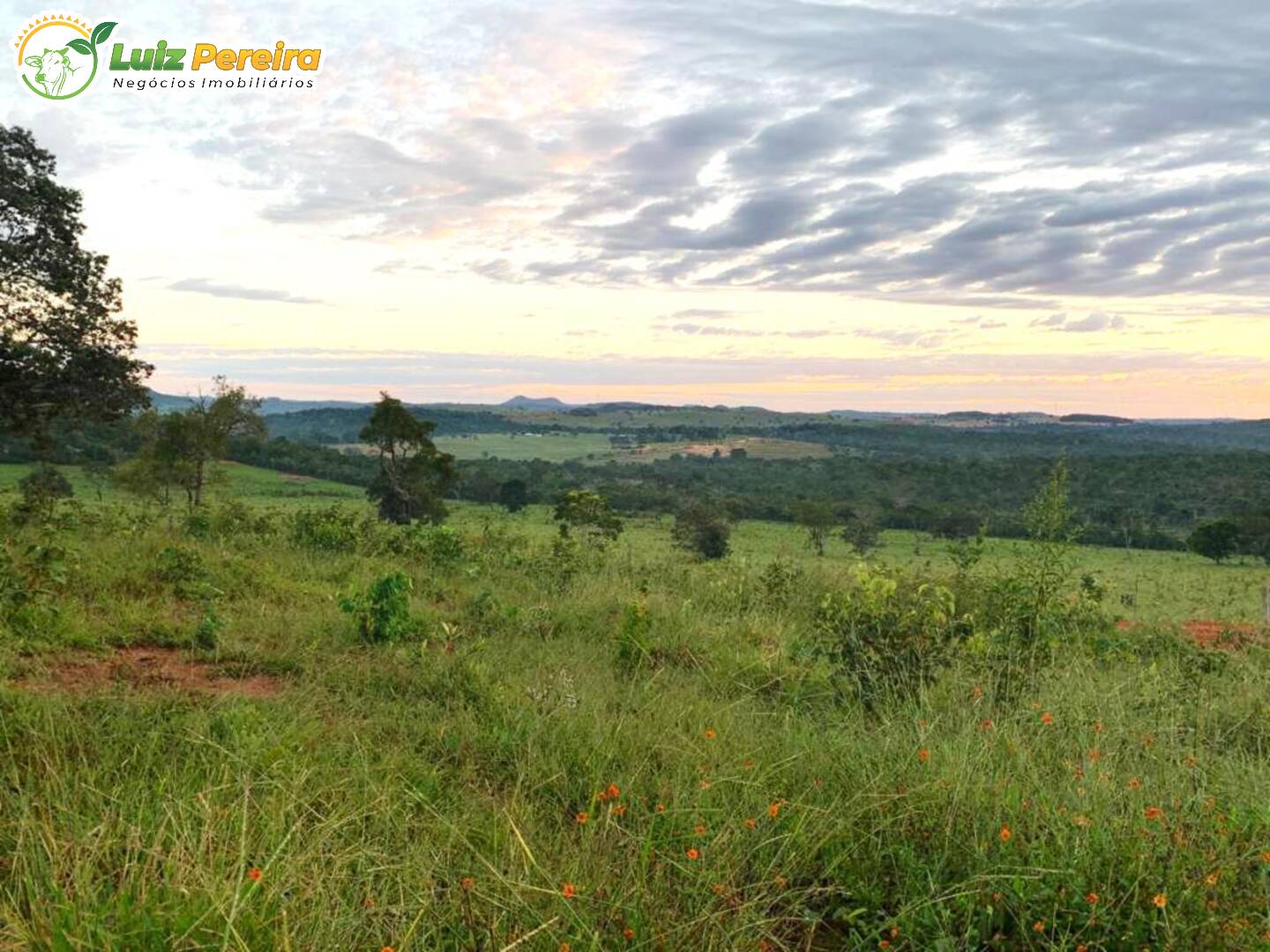 Fazenda à venda, 1482m² - Foto 20