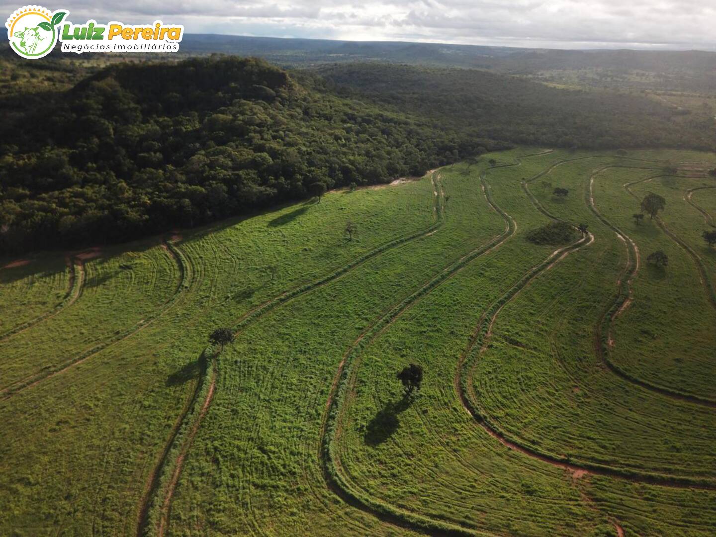 Fazenda à venda, 1482m² - Foto 25