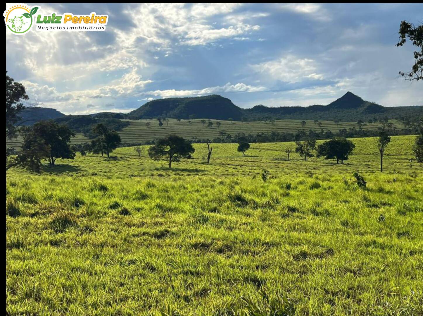 Fazenda à venda, 1482m² - Foto 27