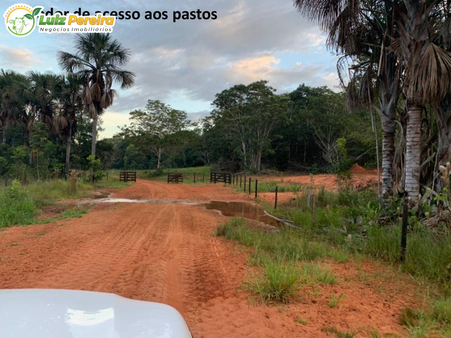 Fazenda à venda, 1482m² - Foto 32