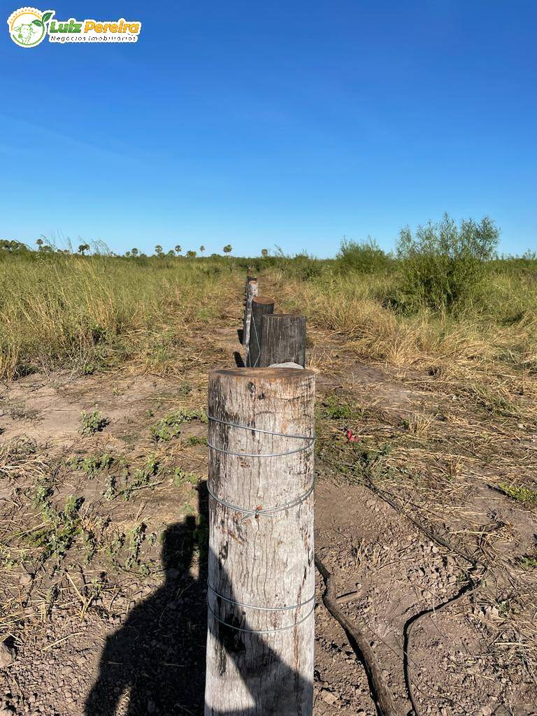 Fazenda à venda, 7976m² - Foto 10