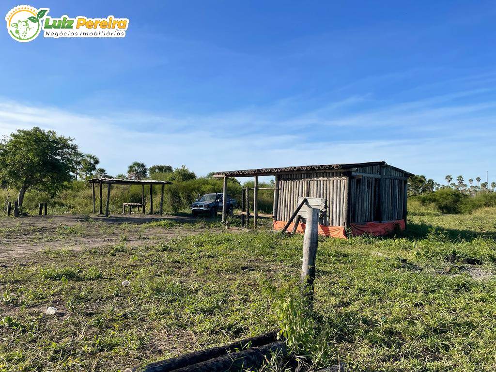 Fazenda à venda, 7976m² - Foto 12