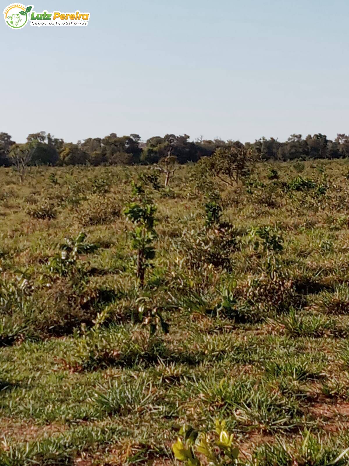 Fazenda à venda, 307m² - Foto 6