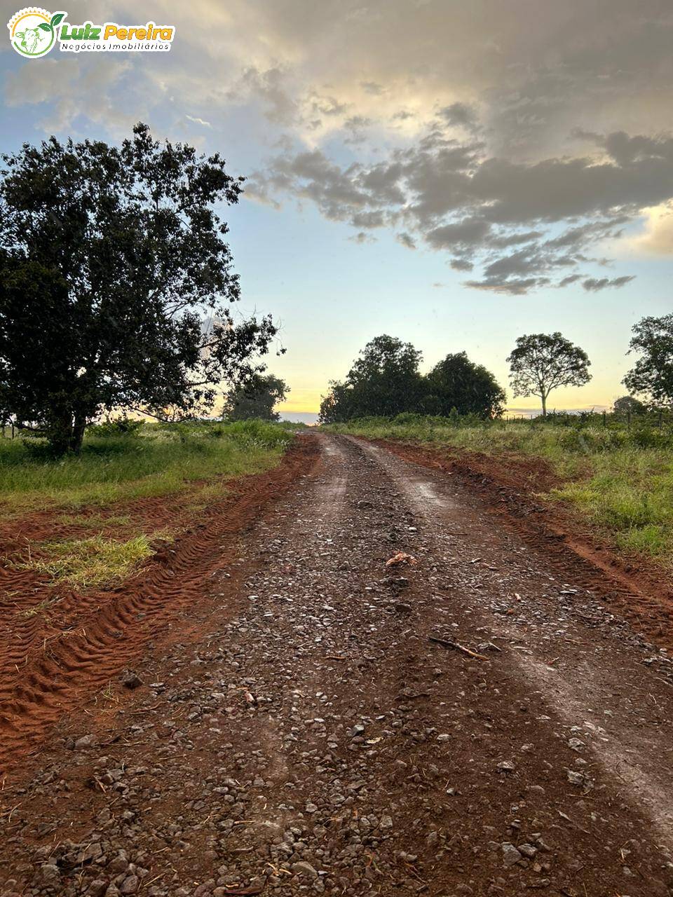 Fazenda à venda, 307m² - Foto 41