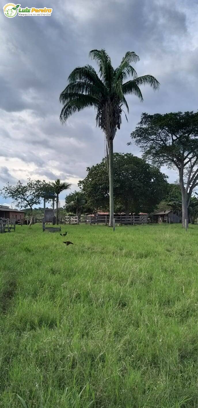 Fazenda à venda, 968m² - Foto 10