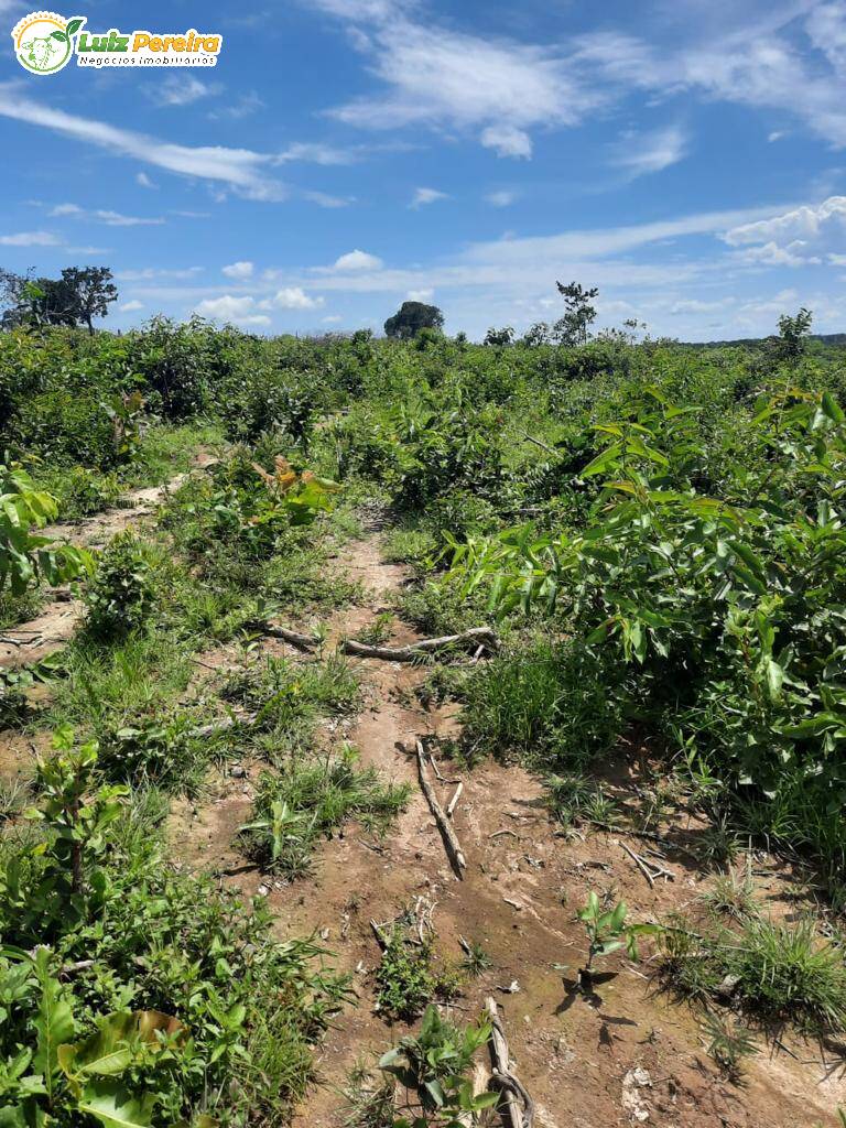 Fazenda à venda, 1210m² - Foto 10