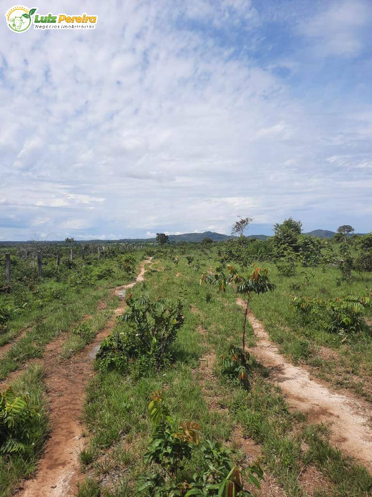 Fazenda à venda, 1210m² - Foto 5