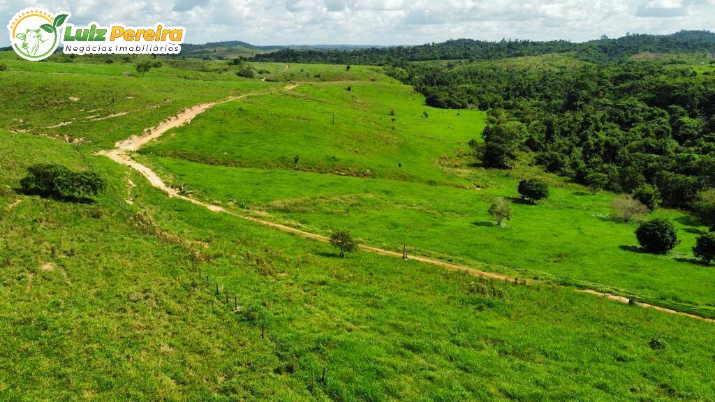 Fazenda à venda, 2250m² - Foto 6