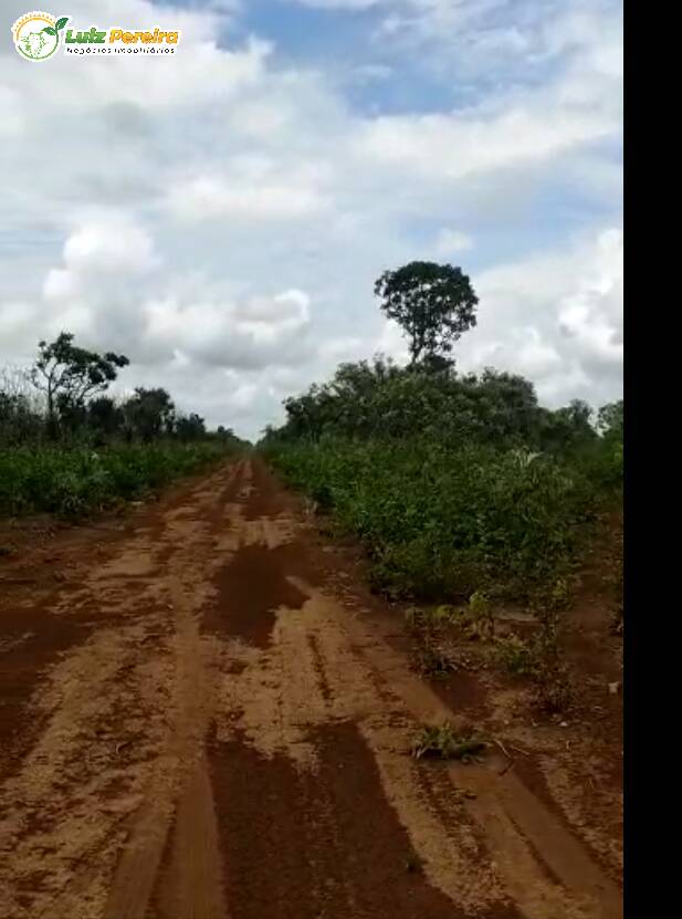 Fazenda à venda, 2904m² - Foto 6