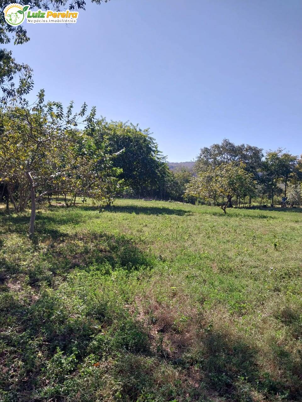 Fazenda-Sítio-Chácara, 852 m² - Foto 1
