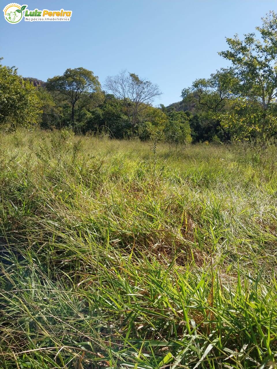 Fazenda à venda, 852m² - Foto 6