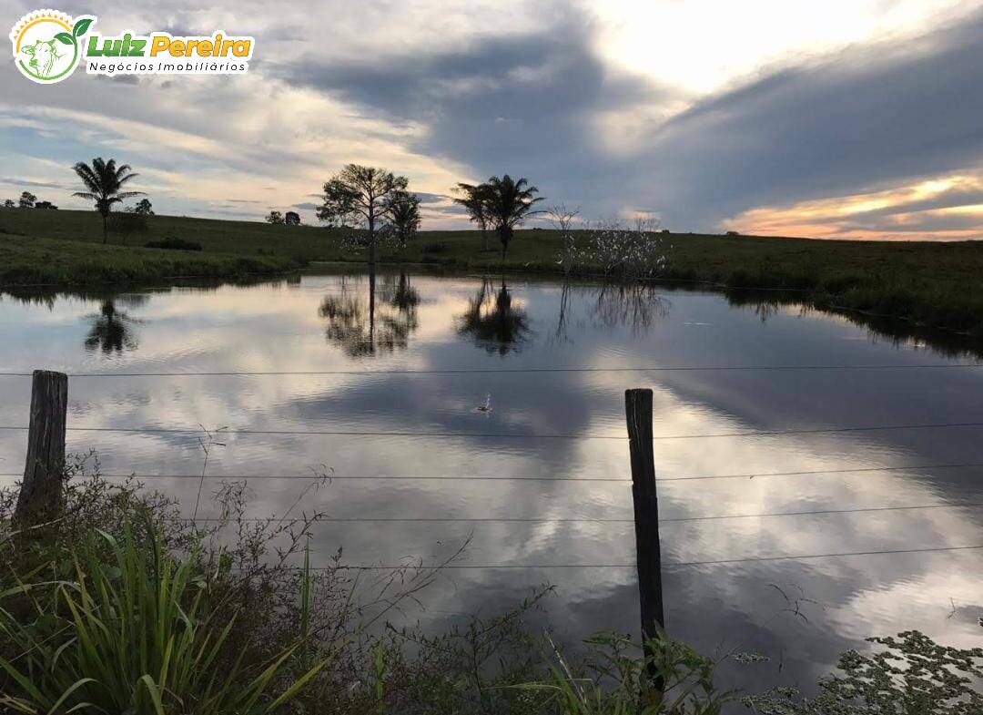 Fazenda à venda, 2638m² - Foto 12