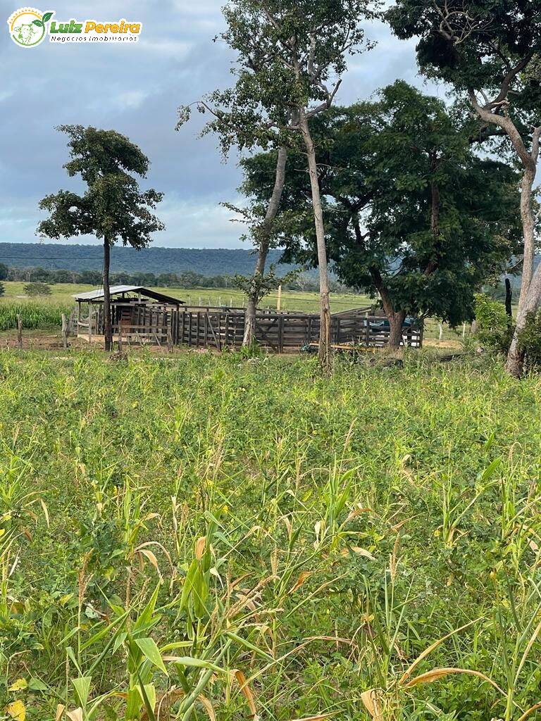 Fazenda à venda, 8000m² - Foto 5