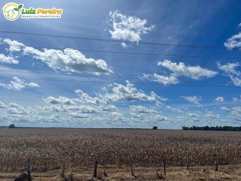 Fazenda à venda, 8000m² - Foto 7