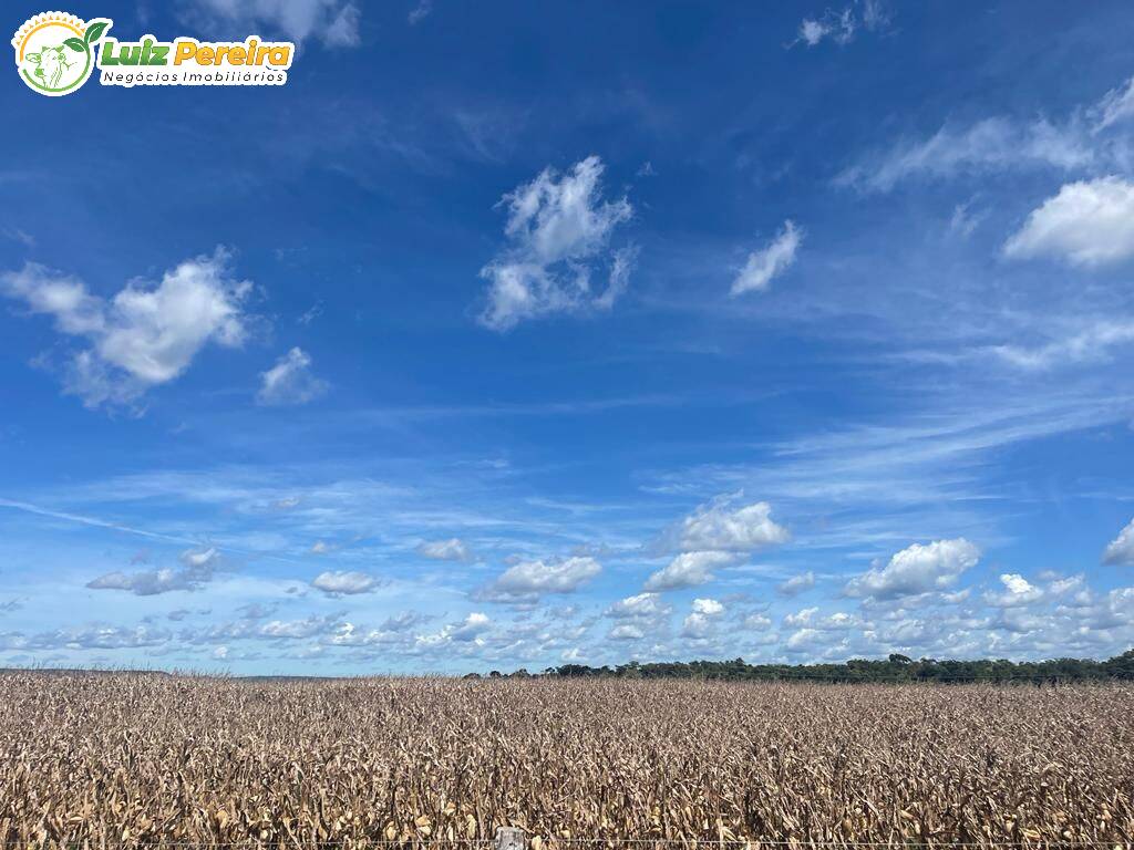 Fazenda à venda, 8000m² - Foto 8