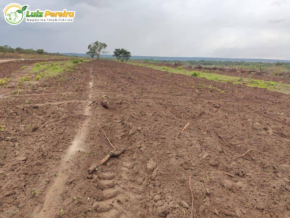 Fazenda à venda, 8000m² - Foto 10