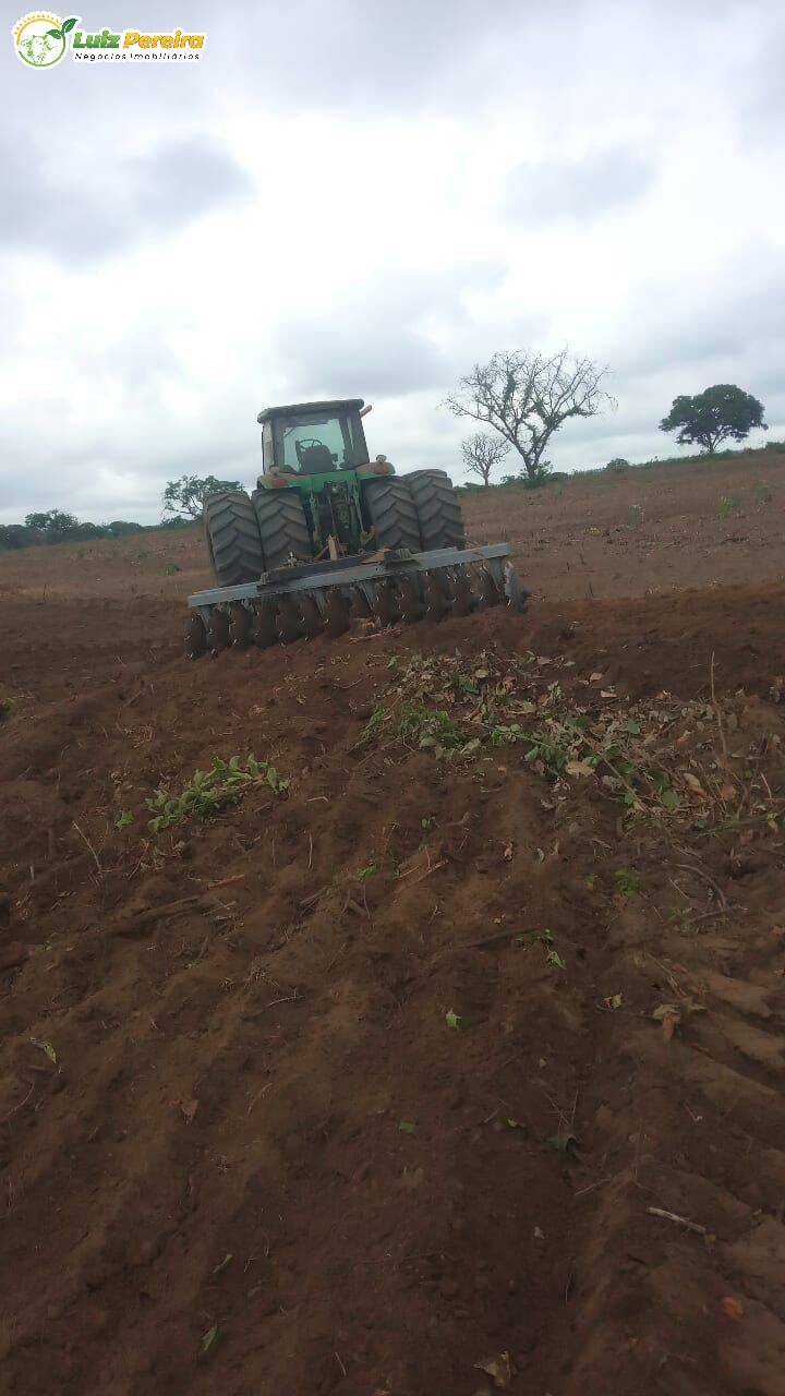 Fazenda à venda, 8000m² - Foto 11