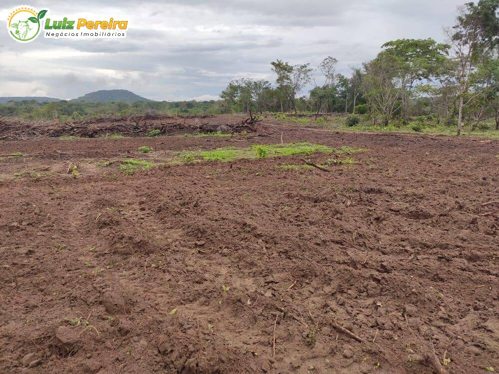 Fazenda à venda, 8000m² - Foto 9