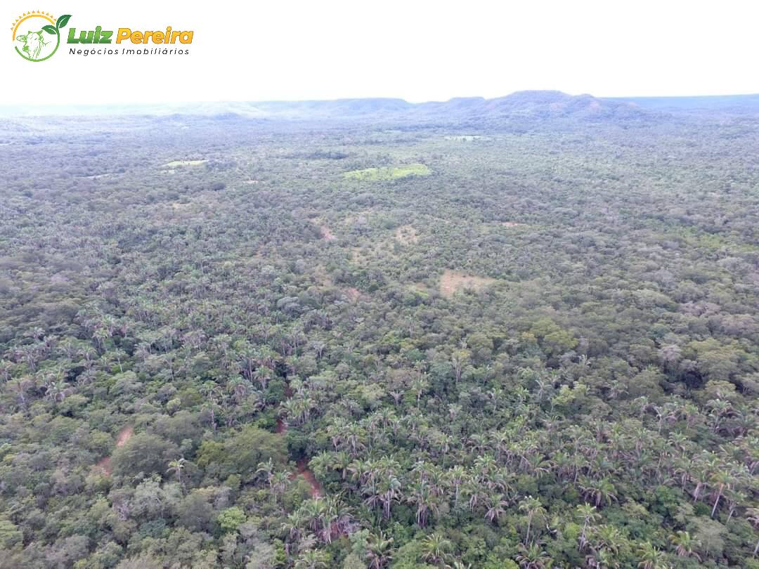 Fazenda à venda, 9000m² - Foto 3