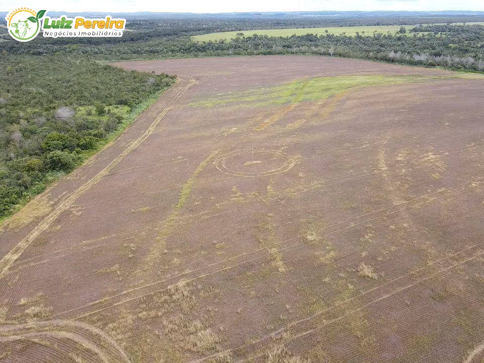 Fazenda à venda, 788m² - Foto 28