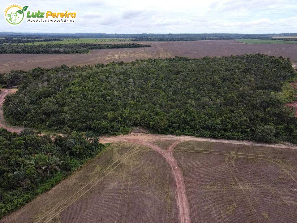 Fazenda à venda, 788m² - Foto 20