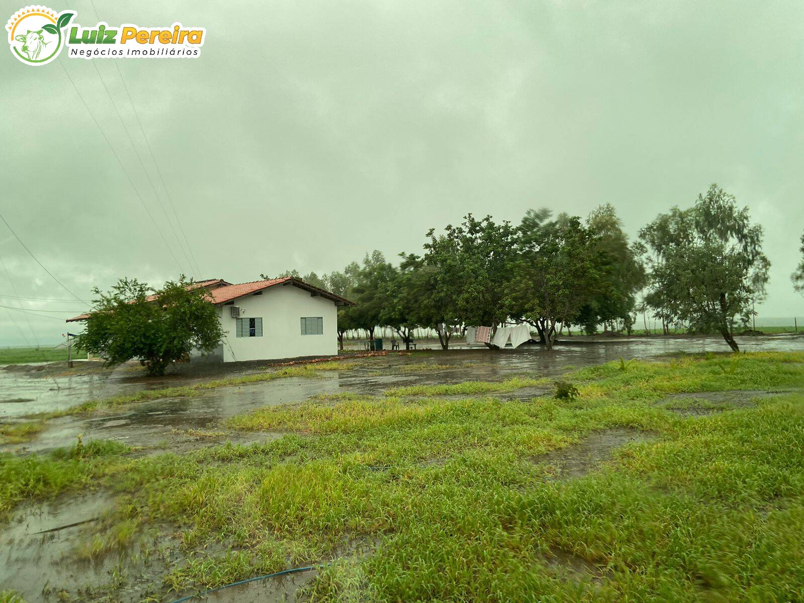 Fazenda à venda, 8000m² - Foto 15