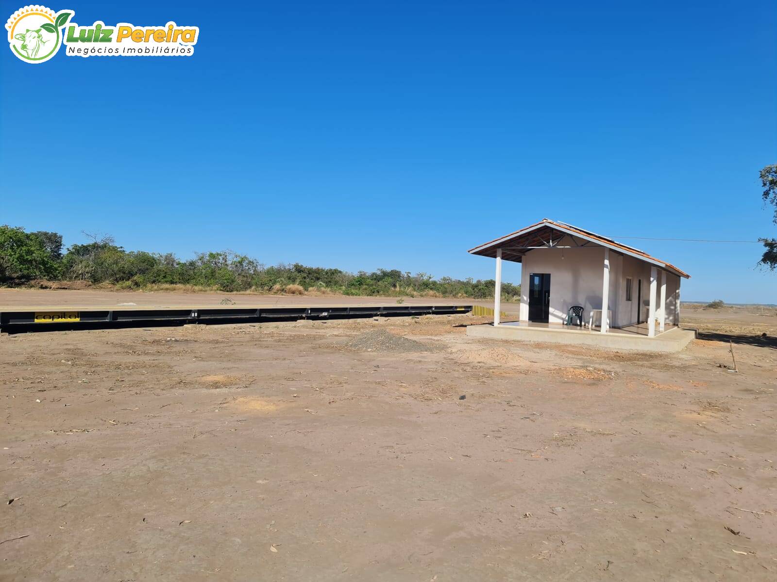 Fazenda à venda, 8000m² - Foto 14