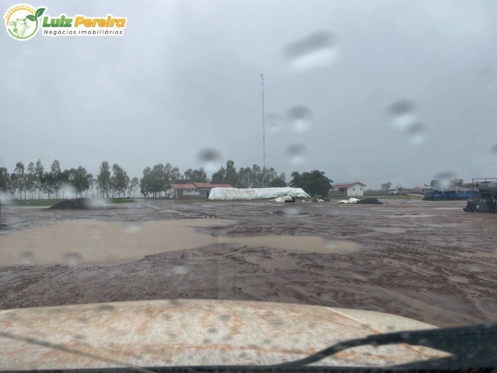 Fazenda à venda, 8000m² - Foto 12