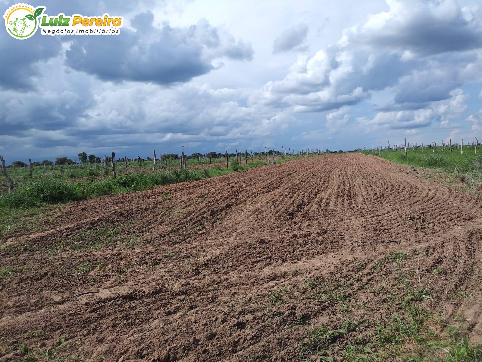 Fazenda à venda, 3915m² - Foto 9